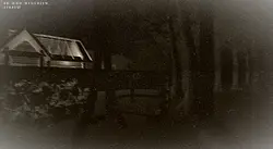 Among The Trees - 作品