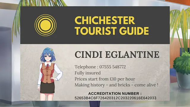 WTC 2 - 3 : NightFall - หน้าจอ