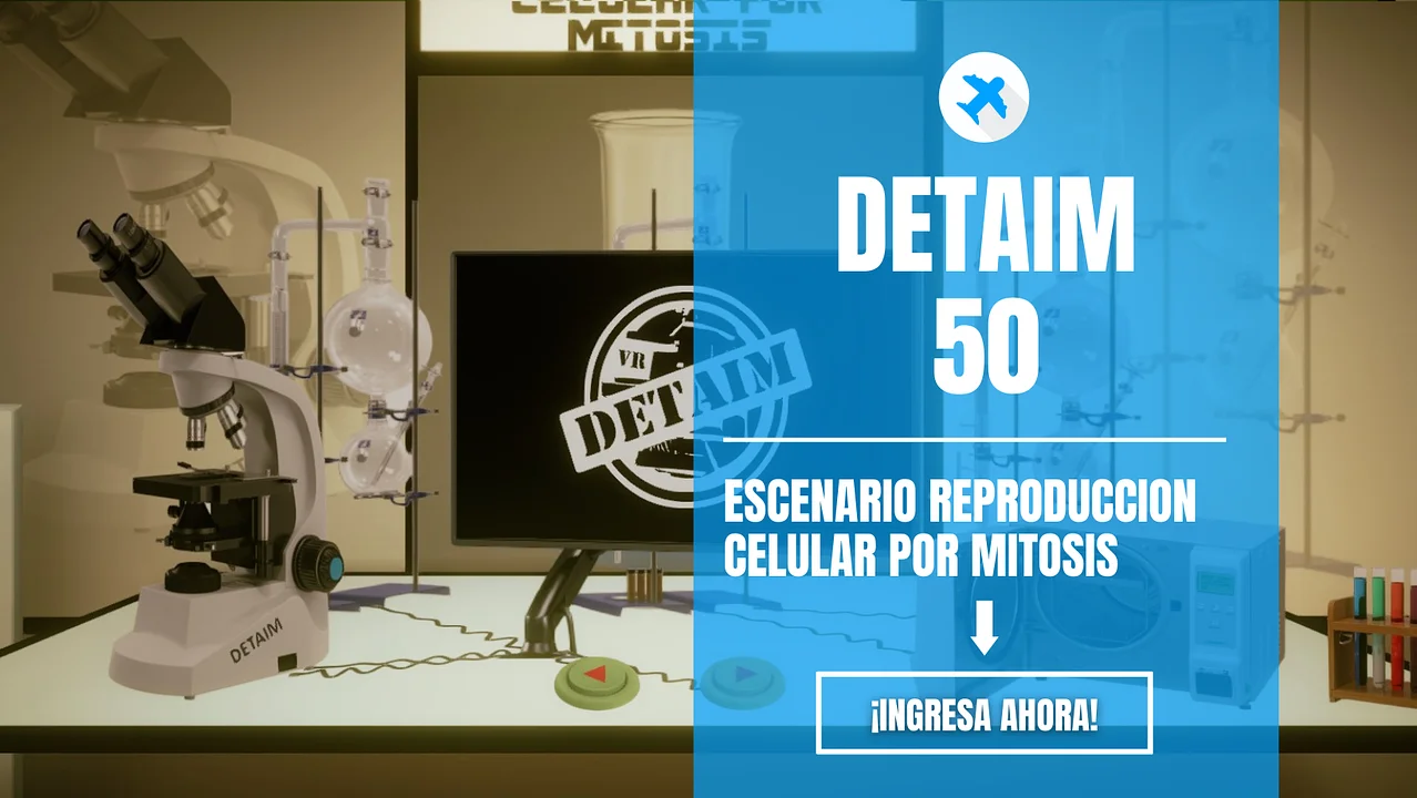 Mainkan DETAIM 50