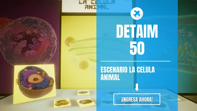 DETAIM 50 - Zrzuty ekranu