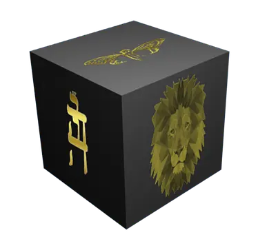 Holy Order - Obrázky