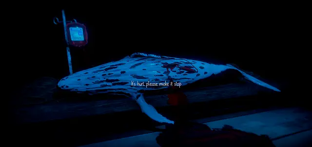 Schrodinger's cat sim - Imej