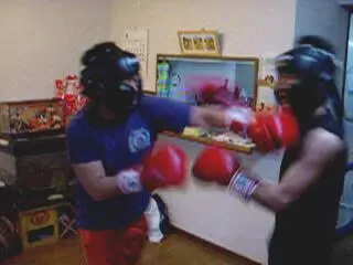 2D BOXING SIMULATOR - Obrázky