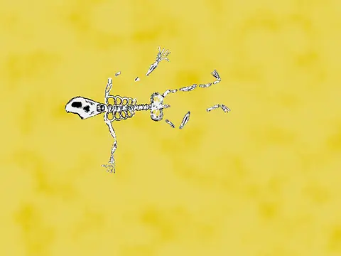 Adventure Time - Obrázky