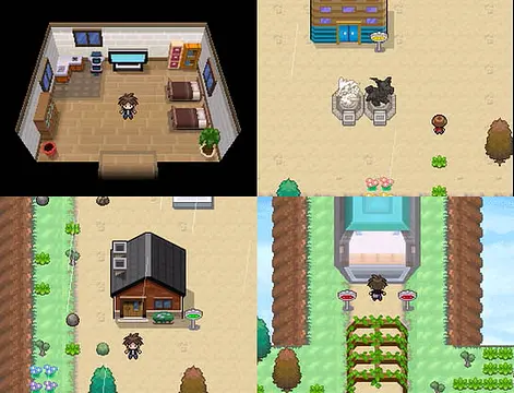 Pokemon RT B/W 2011 - Afbeeldingen