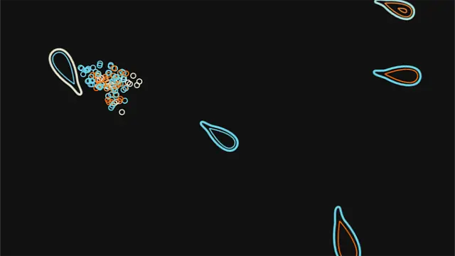 The Pond - الشاشات