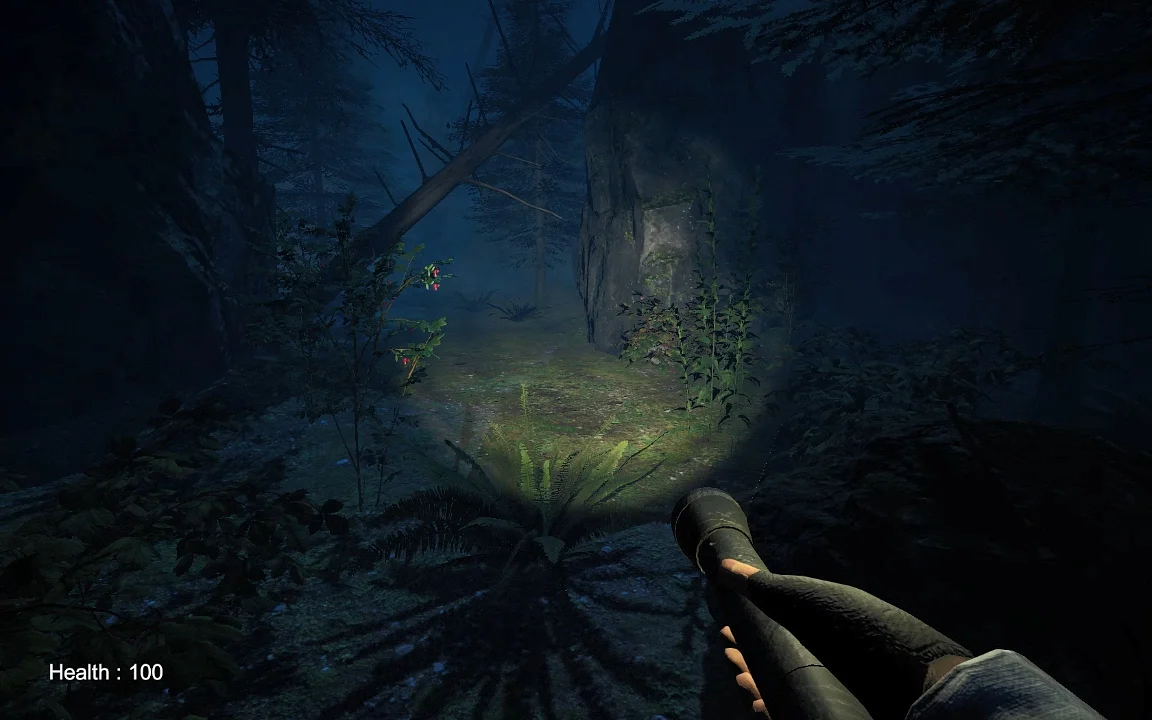 Παίξε Silent Fogs: Echoes of Evil