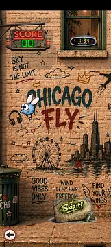 Chicago Fly - 作品
