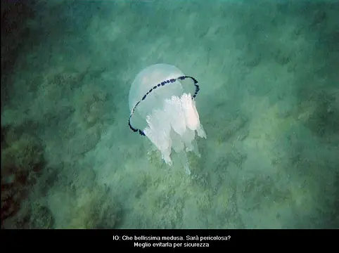 La rivelazione - Картинки