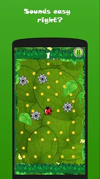 LadyBugger - الشاشات