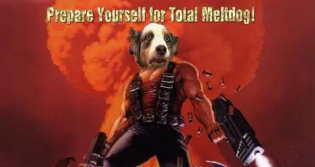 Dog Adventure - Στιγμιότυπα