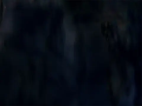 Blind Bird Boxをプレイする