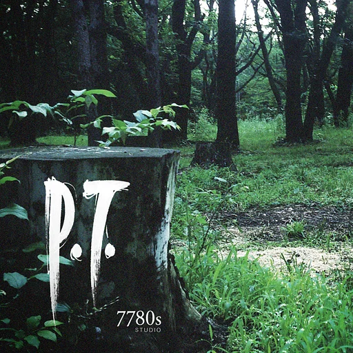 Graj w Silent Memories P.T