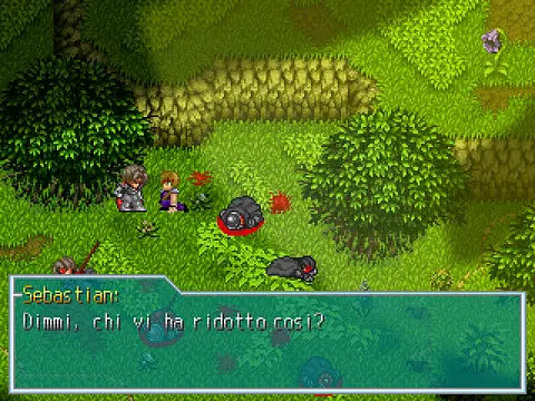 Mystic Wool - Imagens