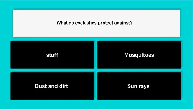 YonatanBHwork - इमेज