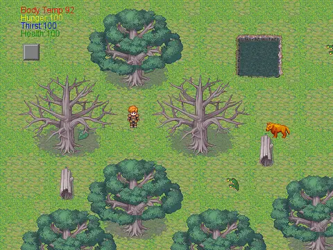 Survivor खेलें