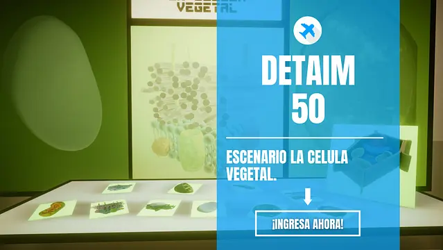 DETAIM 50 - Immagini