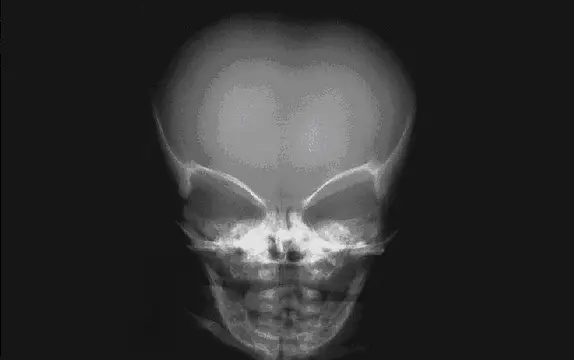 The Visitor 2 - Скріншоти