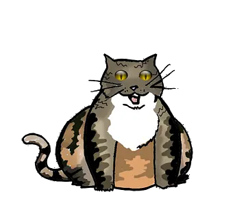 A Cat's Night - تصاویر