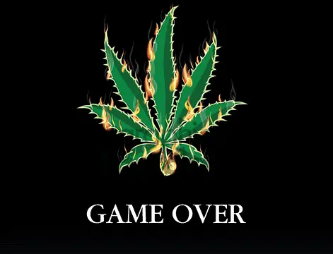 Weedventures - تصاویر