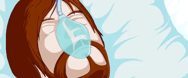 Hraj Brain Reconstructor