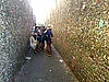 玩 Wikipedia: The Adventure