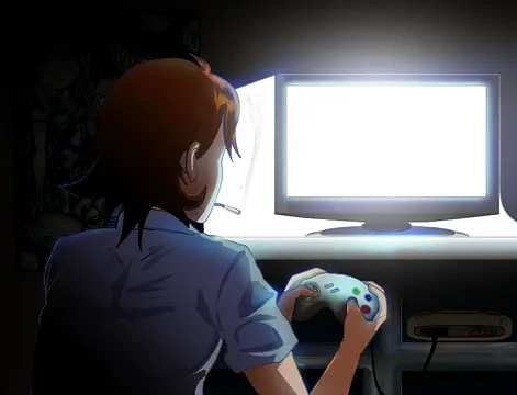 The Last Summer - Bilder