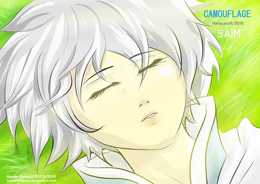 Camouflage - Imagens